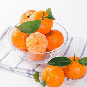 广西荔浦砂糖桔 砂糖橘 甜橘子 2.5kg礼盒装 新鲜水果