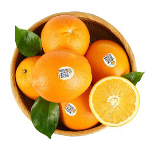 精品脐橙 约3kg装 铂金果 家庭分享装 新老包装随机发货 橙子水果